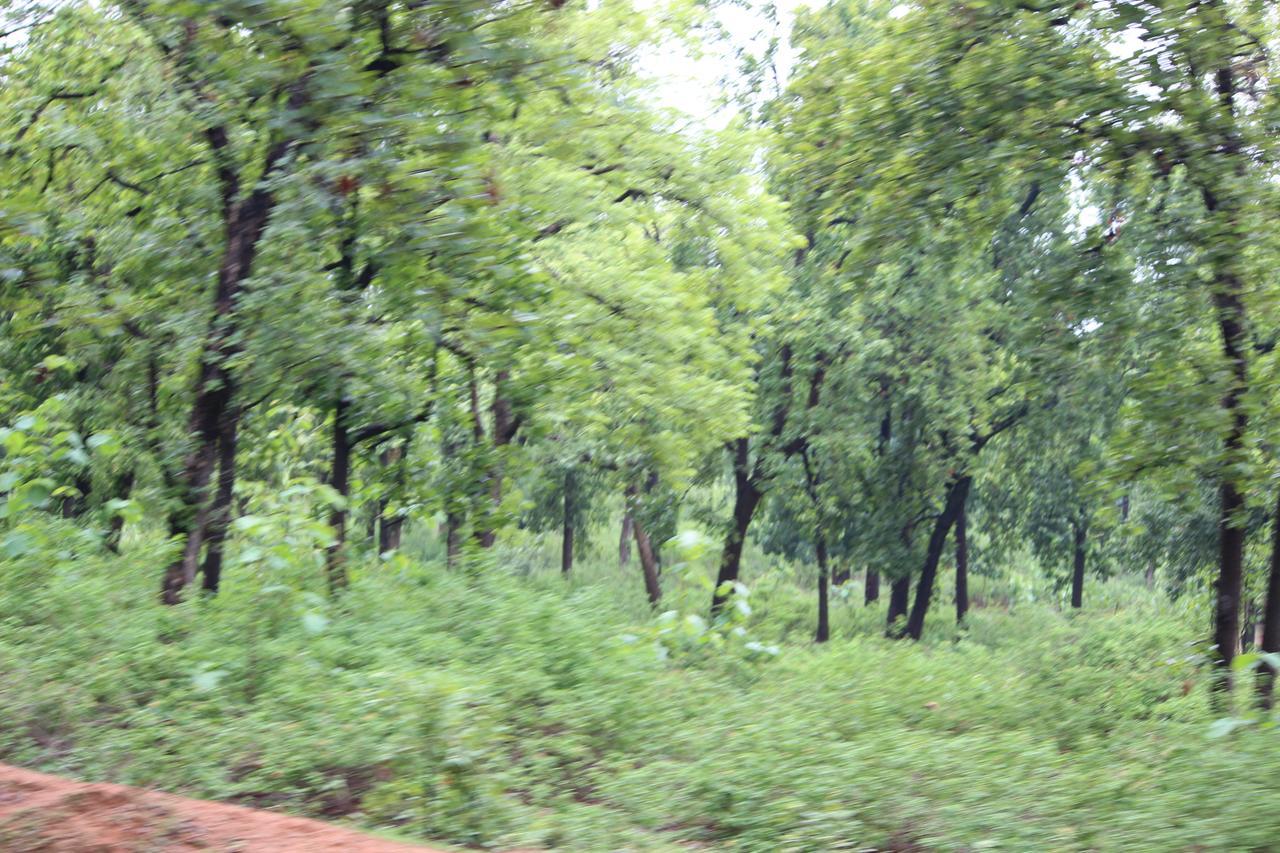 The Residency Bed & Breakfast Amarkantak ภายนอก รูปภาพ