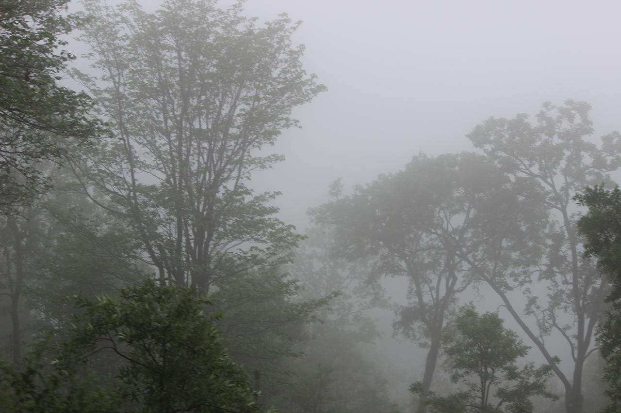 The Residency Bed & Breakfast Amarkantak ภายนอก รูปภาพ